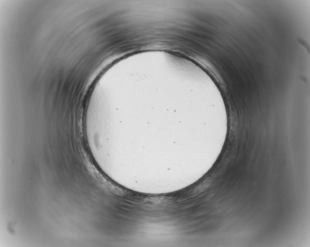 X0000102291000200808151948