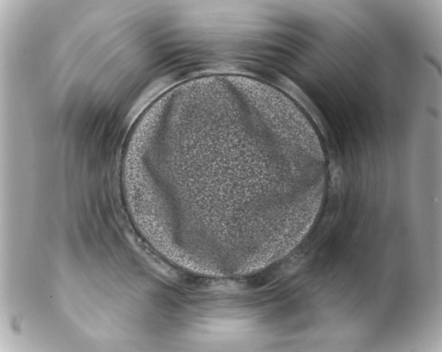 X0000102291002200808151948