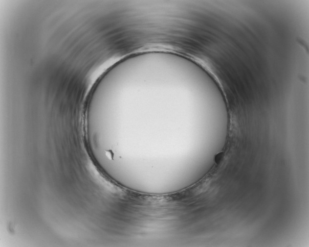 X0000102291003200808151948