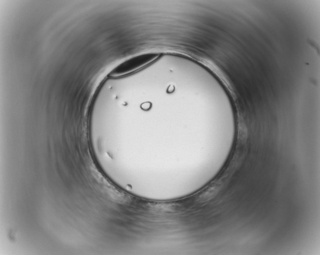 X0000102291004200808151948