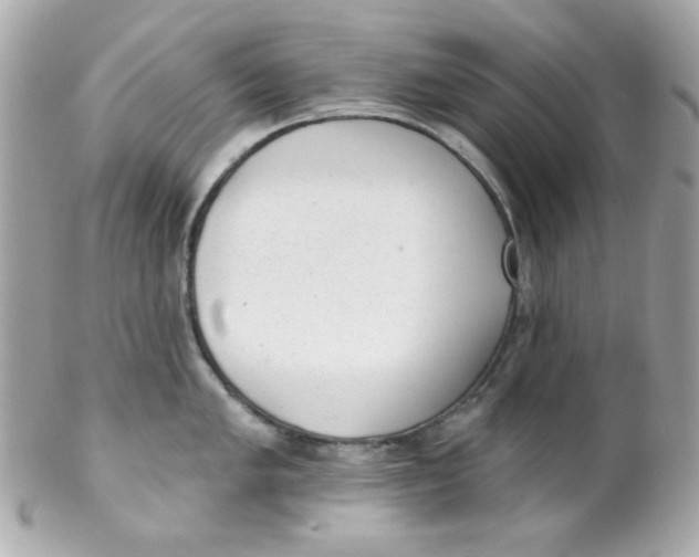 X0000102291005200808151948