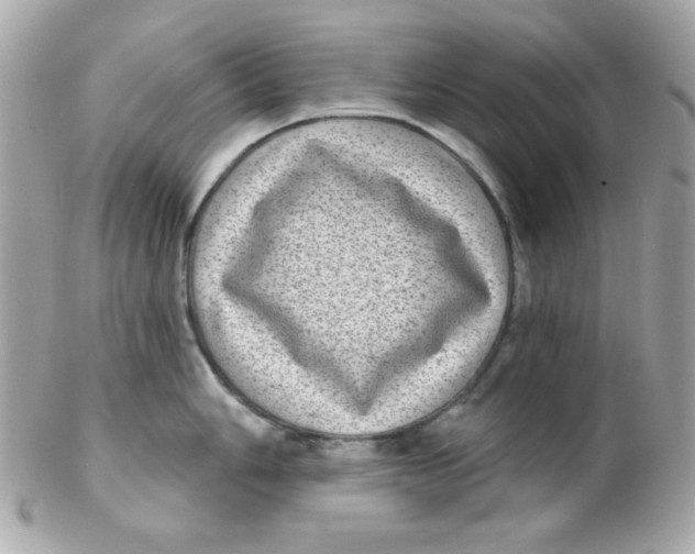 X0000102291006200808151948