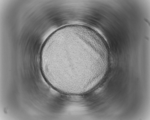 X0000102291007200808151948