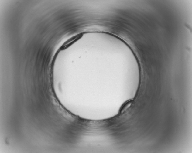 X0000102291008200808151948