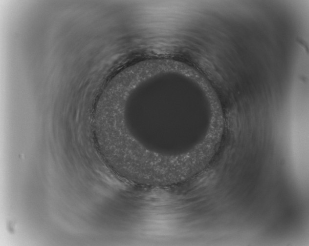 X0000102291009200808151947