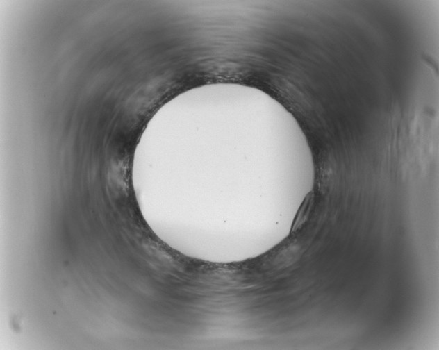 X0000102291010200808151947