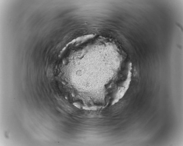 X0000102291011200808151947