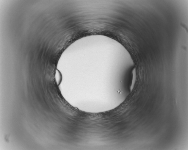 X0000102291012200808151947