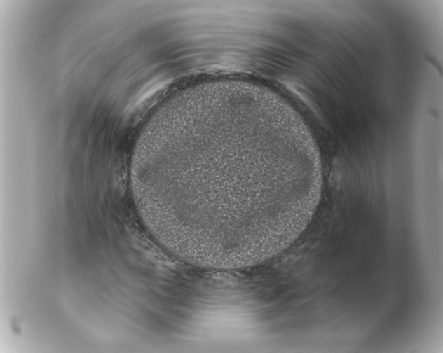 X0000102291015200808151947