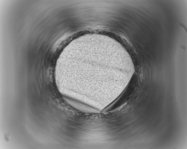 X0000102291016200808151947