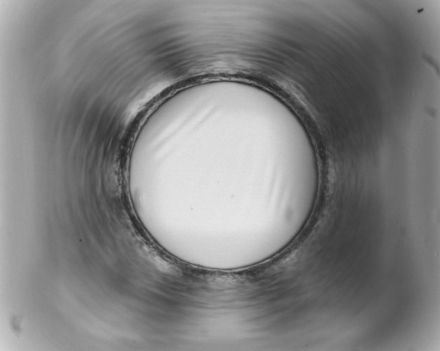 X0000102291018200808151947