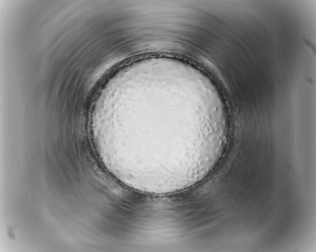 X0000102291019200808151947