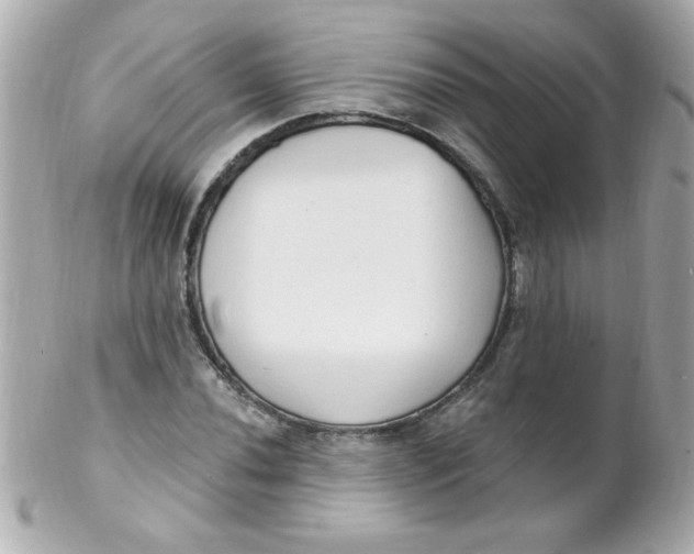 X0000102291020200808151947