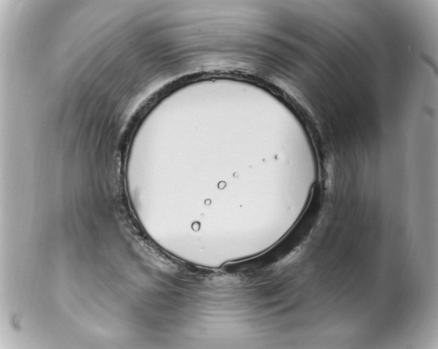 X0000102291021200808151947