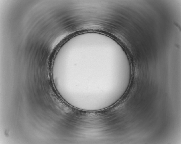 X0000102291022200808151947