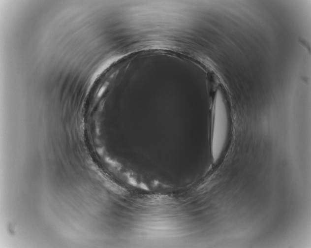 X0000102291024200808151948