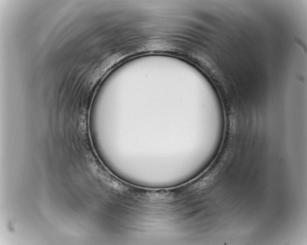 X0000102291025200808151948