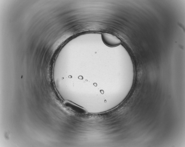 X0000102291026200808151948