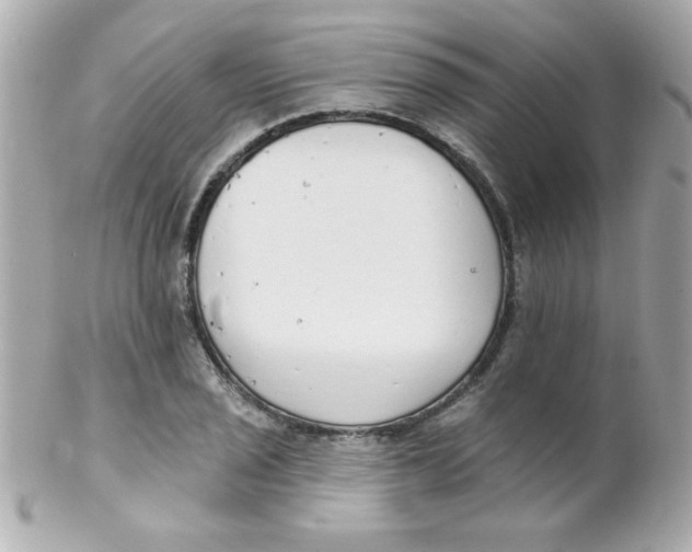 X0000102291029200808151948