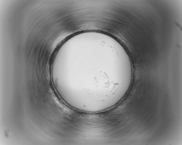 X0000102291030200808151948