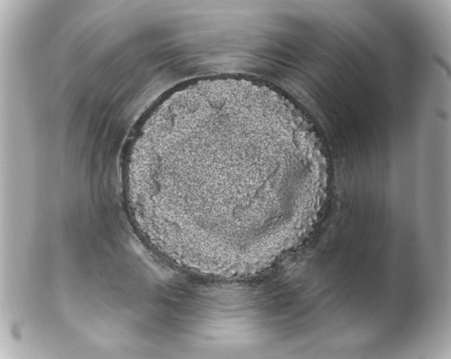 X0000102291031200808151948