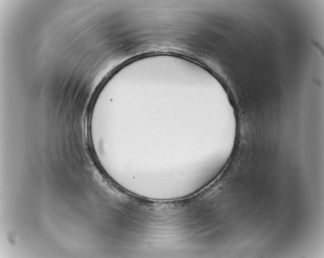 X0000102291032200808151948