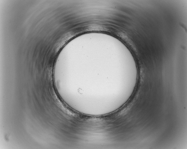 X0000102291033200808151948