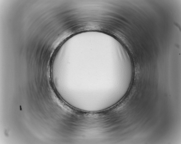 X0000102291034200808151948