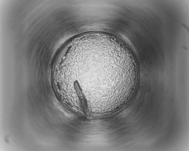 X0000102291035200808151948