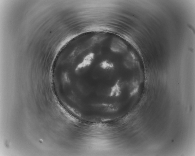 X0000102291037200808151948