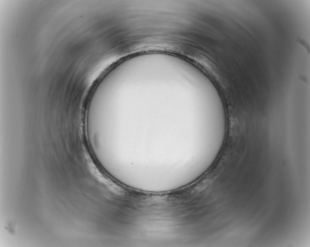 X0000102291038200808151948