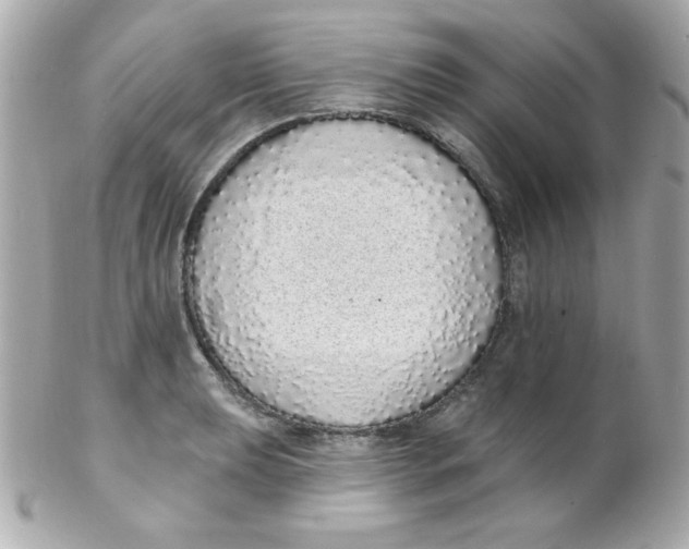 X0000102291039200808151948