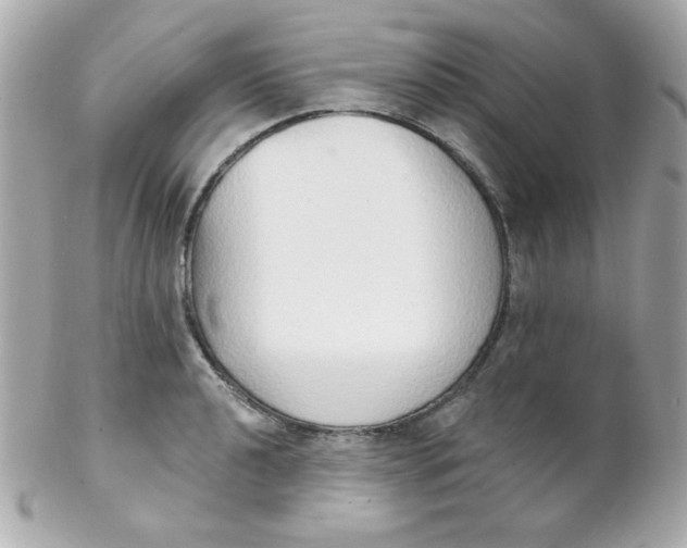 X0000102291040200808151948