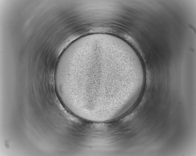 X0000102291041200808151948