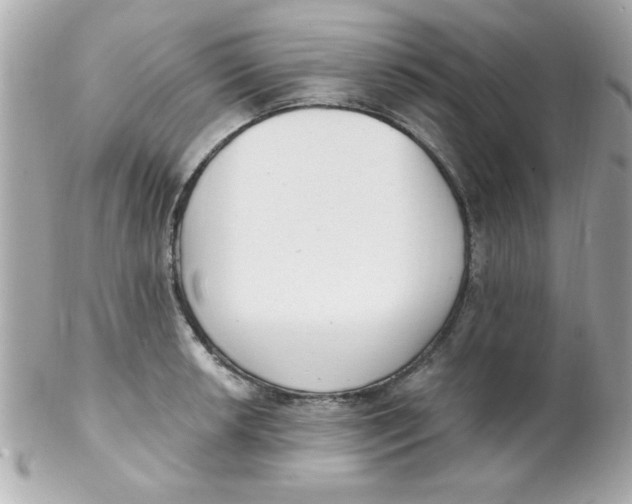 X0000102291042200808151948