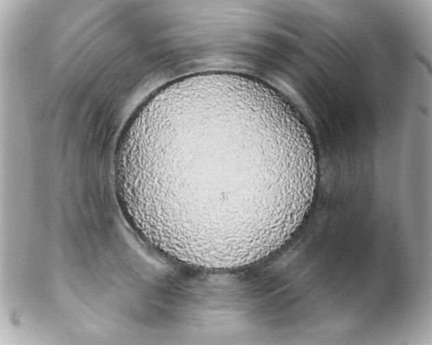 X0000102291043200808151948