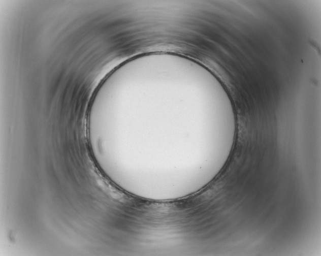 X0000102291044200808151948