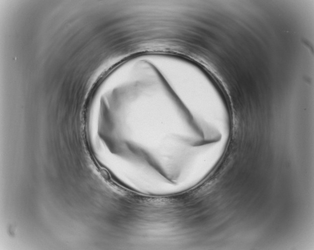 X0000102291045200808151948