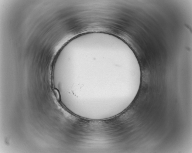 X0000102291046200808151948