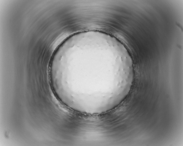 X0000102291047200808151948