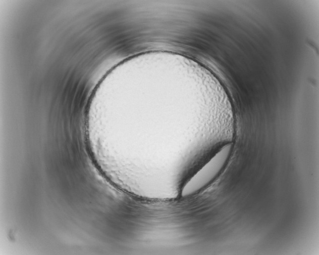 X0000102291048200808151948