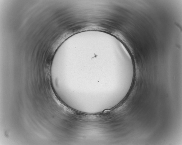 X0000102291049200808151948