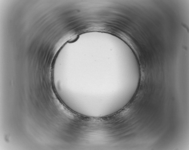 X0000102291050200808151948