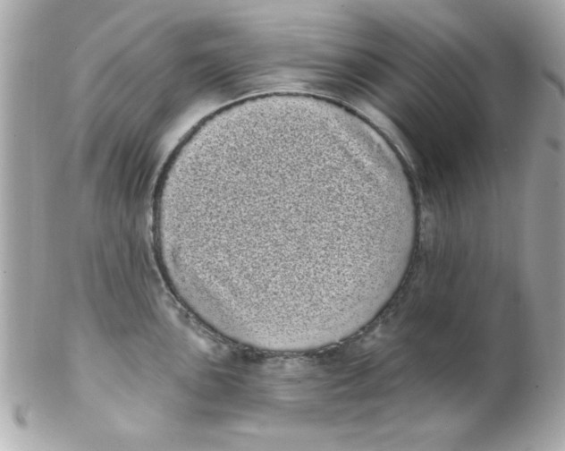 X0000102291051200808151948