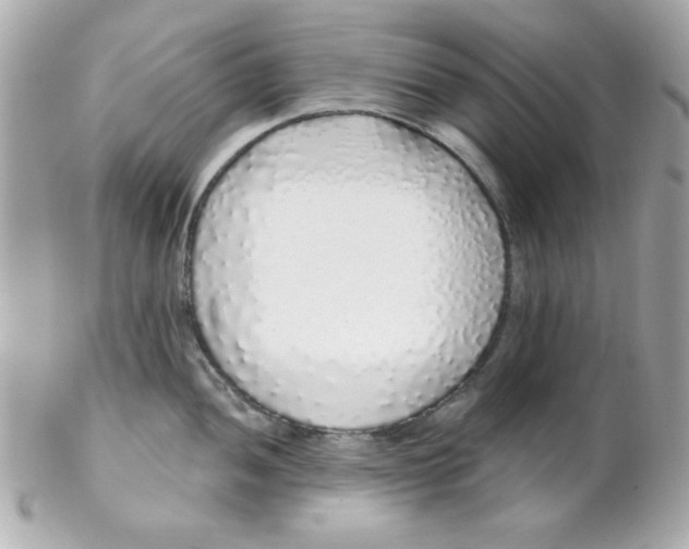 X0000102291052200808151948