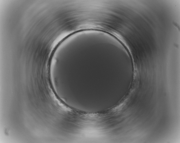 X0000102291053200808151948