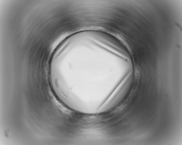 X0000102291054200808151948