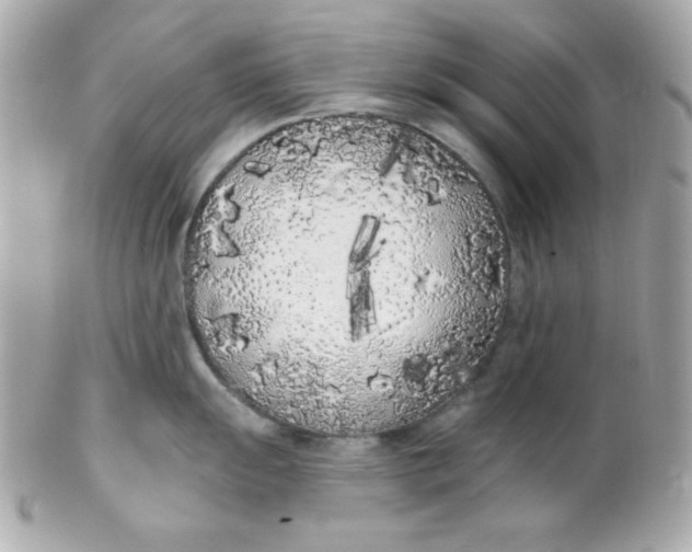 X0000102291055200808151948