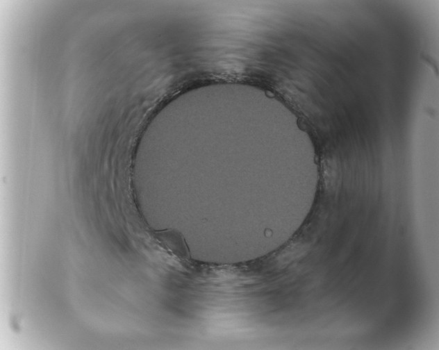 X0000102291057200808151947