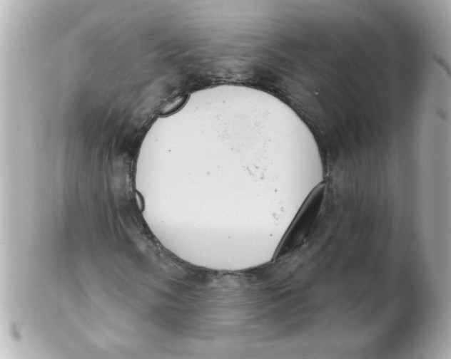 X0000102291058200808151947